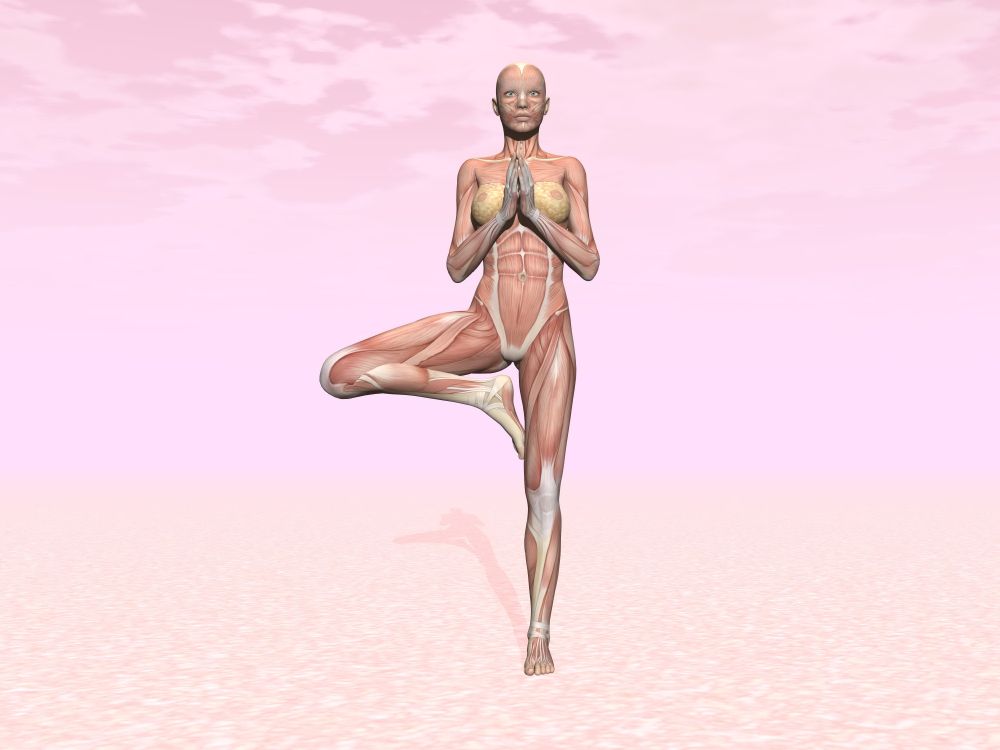 Tree yoga pose for woman with muscle visible in pink background. Tree yoga pose for woman with muscle visible