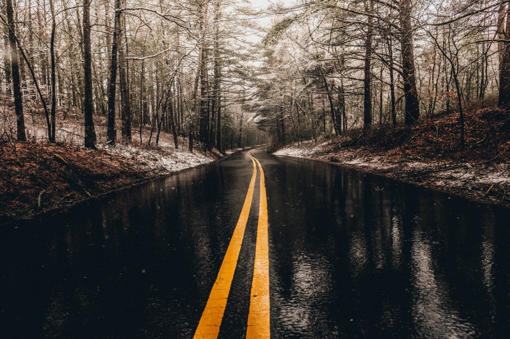 A wet road in the forest with yellow line. A wet road in the forest