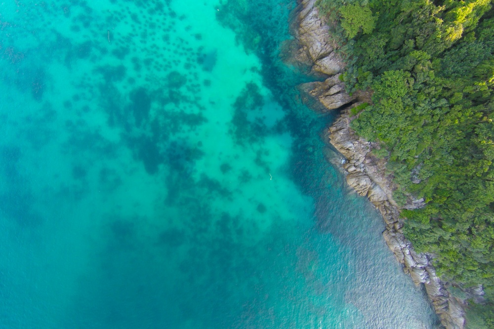 Tropical beach with sea and palm taken from drone. Seychelles famous shark beach - aerial photo - Boost up color Processing.