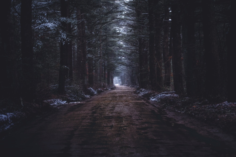 A narrow muddy road in a dark snowy forest. A narrow muddy road in a dark forest