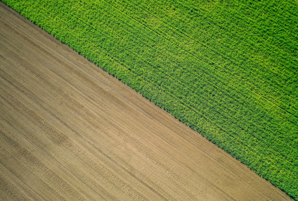 A beautiful aerial shot of a green agricultural field. Beautiful aerial shot of a green agricultural field