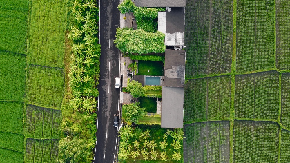 Fields on Bali. Shooting from dron.. bali landscape panoramic view
