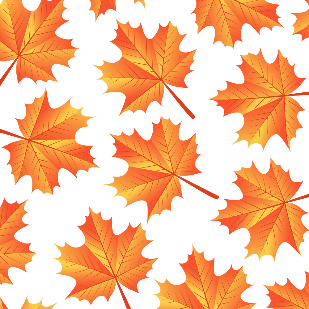 background autumn maple leaves