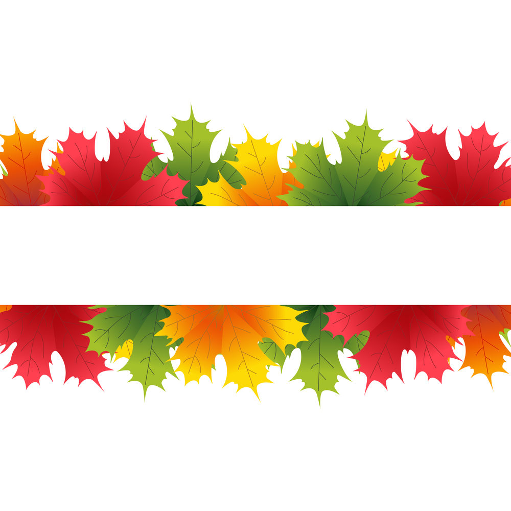 Autumn maple leaves with white banner. vector illustration. Autumn maple leaves with white banner