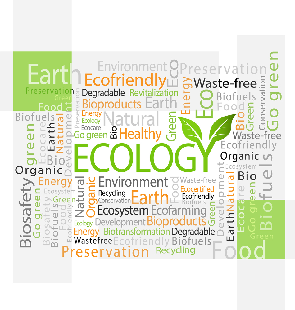 Design of ecology-related tag cloud pannel vector illustration. 	Ecology tag cloud pannel