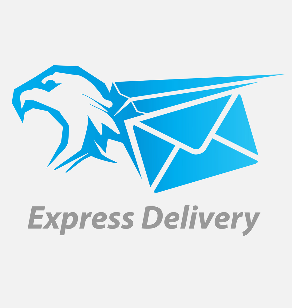 Originally created  express, fast delivery icon. Express, fast delivery icon