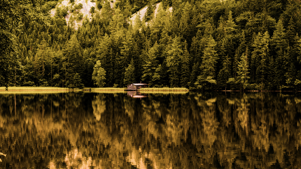View of wooden cottage in green pine forest by the blue lake in rural summer Austria, Leopoldsteinersee