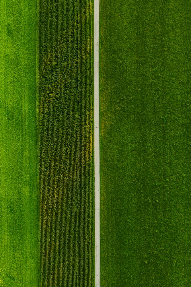 Areal view of crop fields in sunny summer day. Agriculture concept. Areal view of crop fields in sunny summer day in Austria