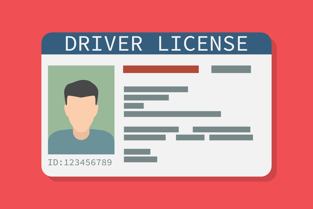 Icon driver&rsquo;s license , identity card, personal data. Vector illustration flat design