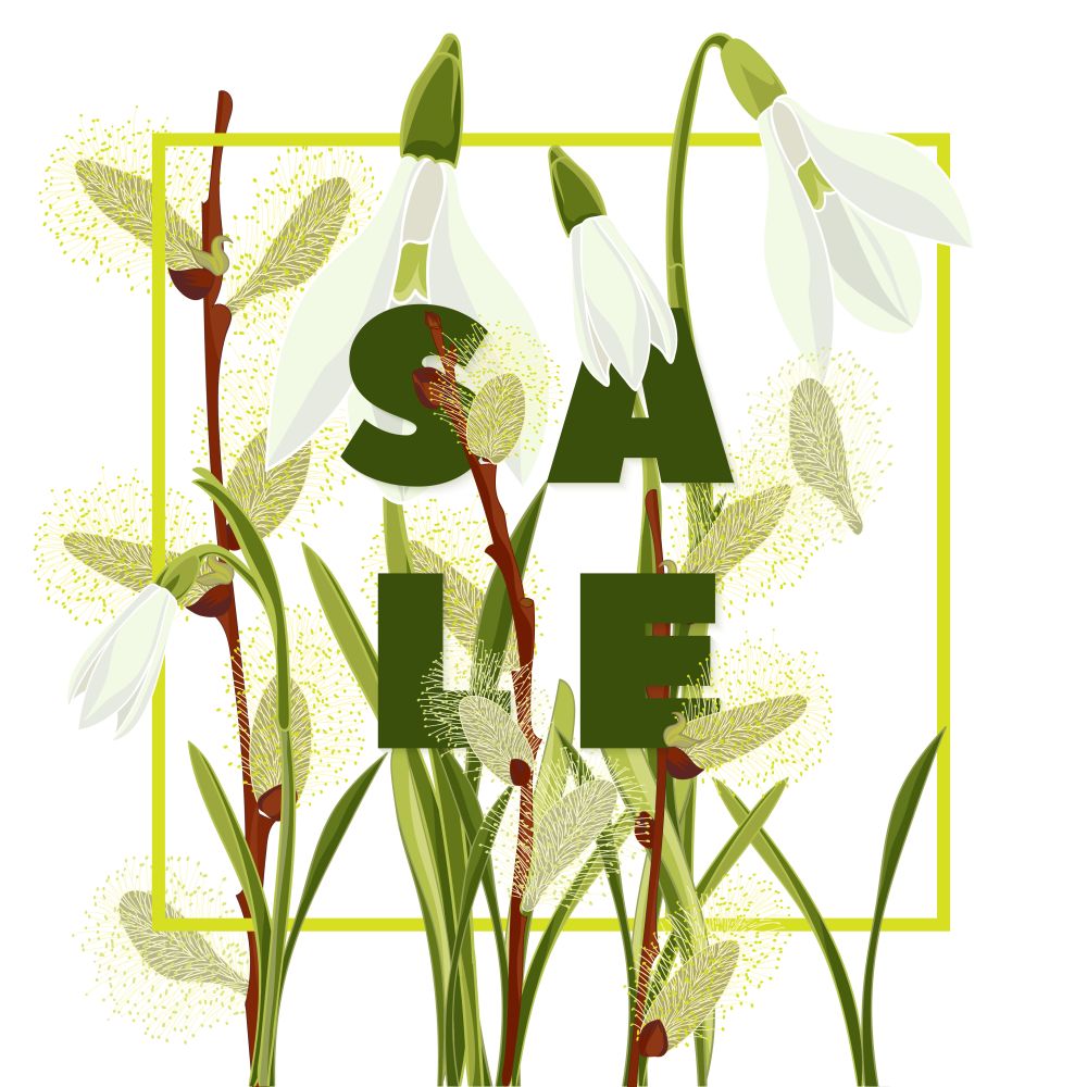 Modern typography with text sale. Hand drawn bouquet of snowdrops and pussy willow. Botanical vector illustration. Colorful flowers graphic design Good idea for t-shirt, fashion, prints, web banner. Floral snowdrops and pussy willow hand drawn colored card. Modern typography with text sale