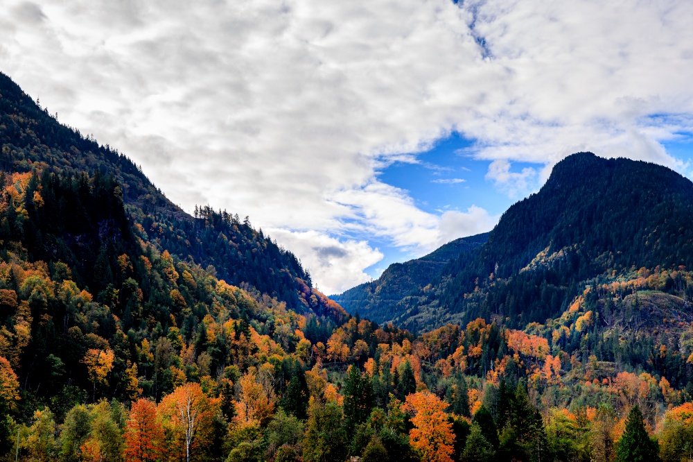 Stunning autumn colors in valley