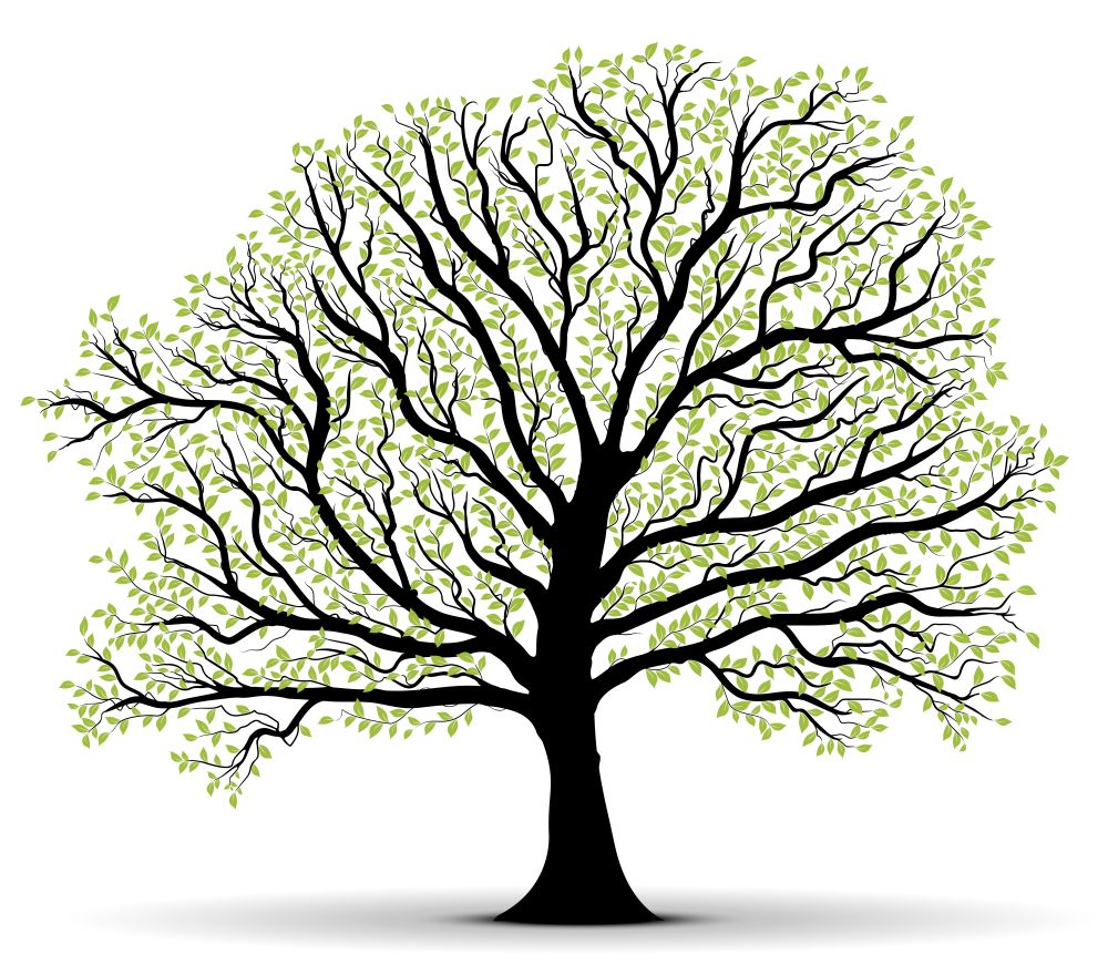 big vector tree silhouette with green foliage over white background, black trunk, lot of leaves. Environmental Protection green tree