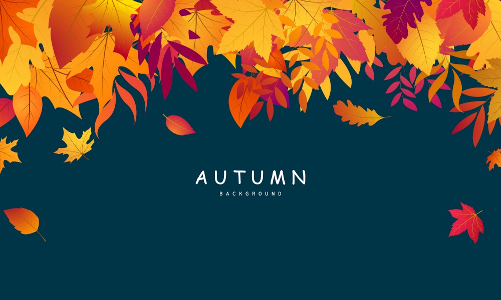 Autumn falling leaves background  Vector template.