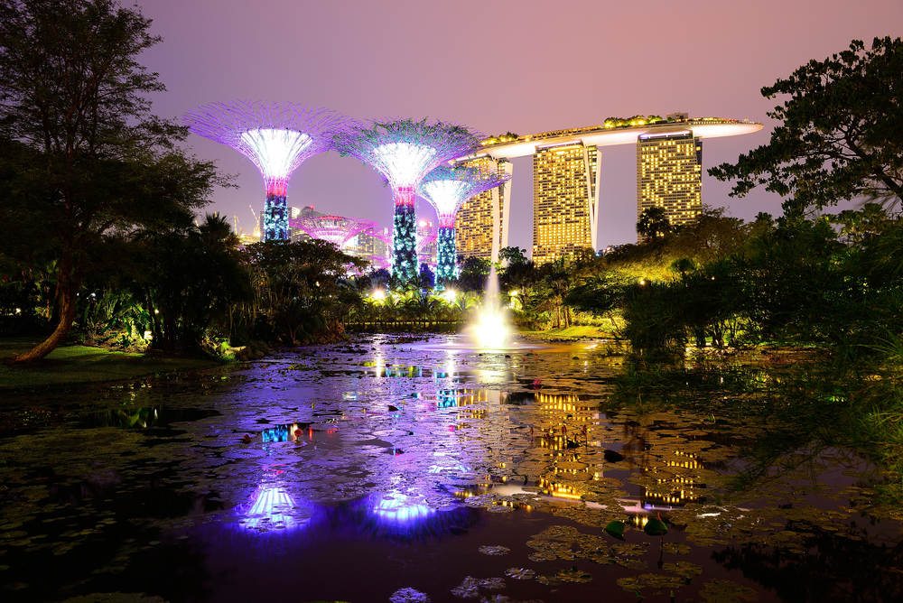 Singapore Supertrees in the garden bay at Bay South Singapore. Gardens by the Bay in Singapore.