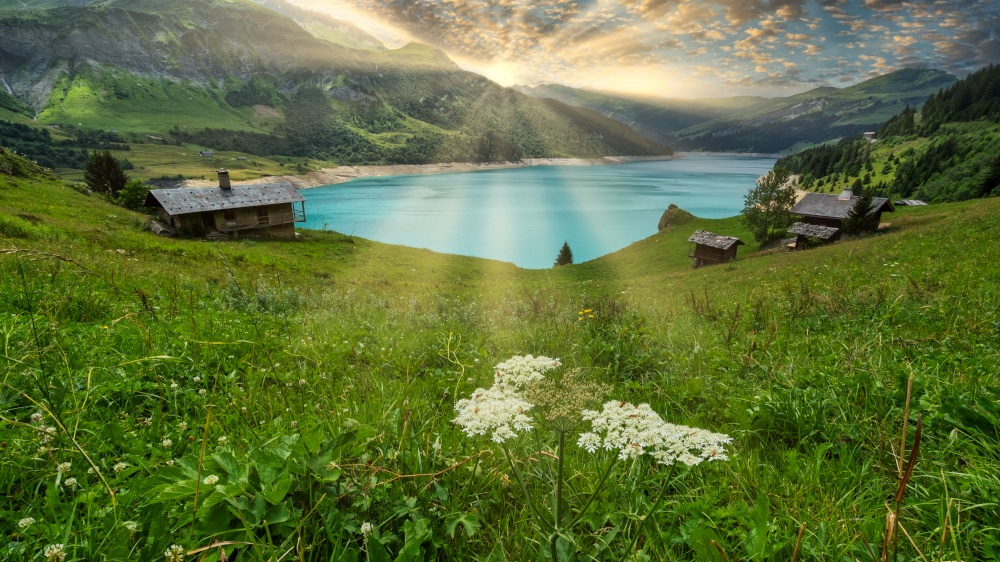 Green meadow on a lake in the mountains at sunset in the French Alps France