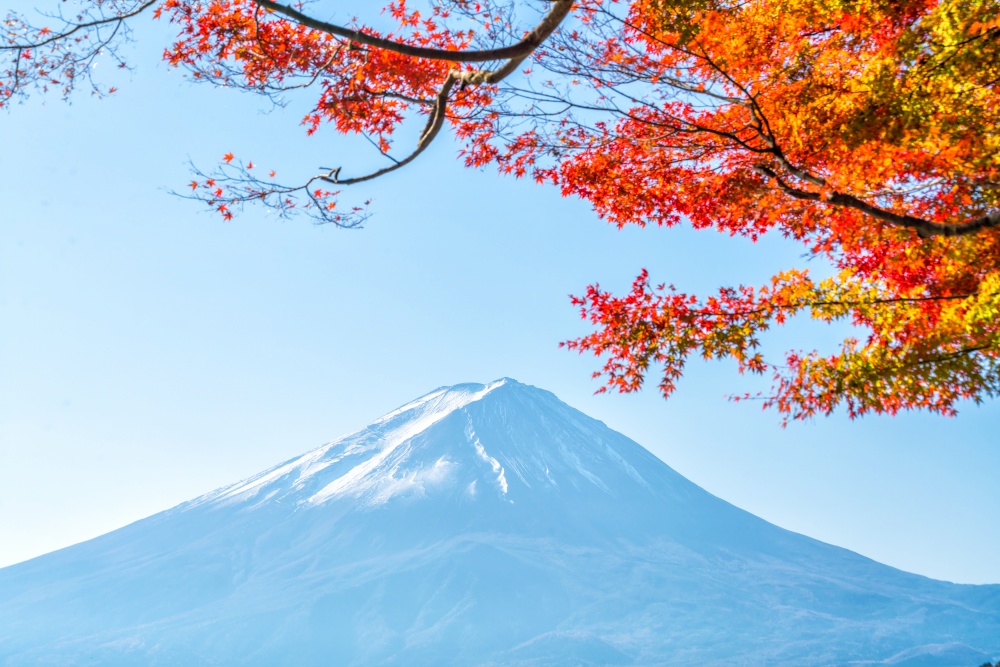 Colorful autumn season and Mountain Fuji with red leaves at lake Kawaguchiko in Japan
