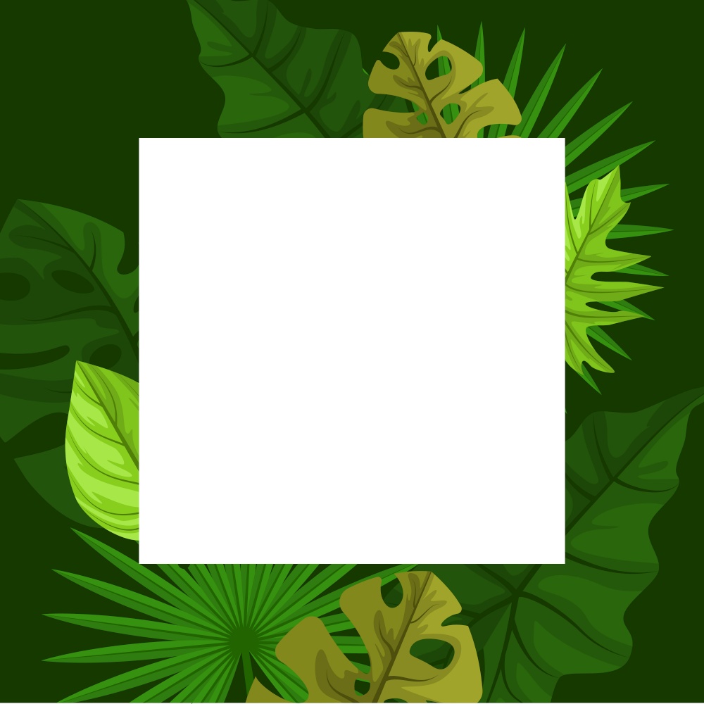 Square Green Tropical Plant Summer Leaf Border Frame Background