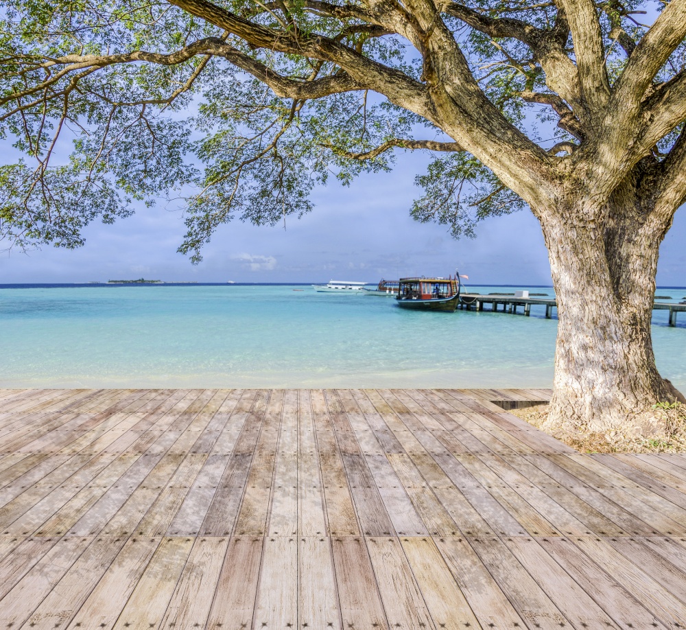 An image of big tree loacted on timber deck in front of the beach