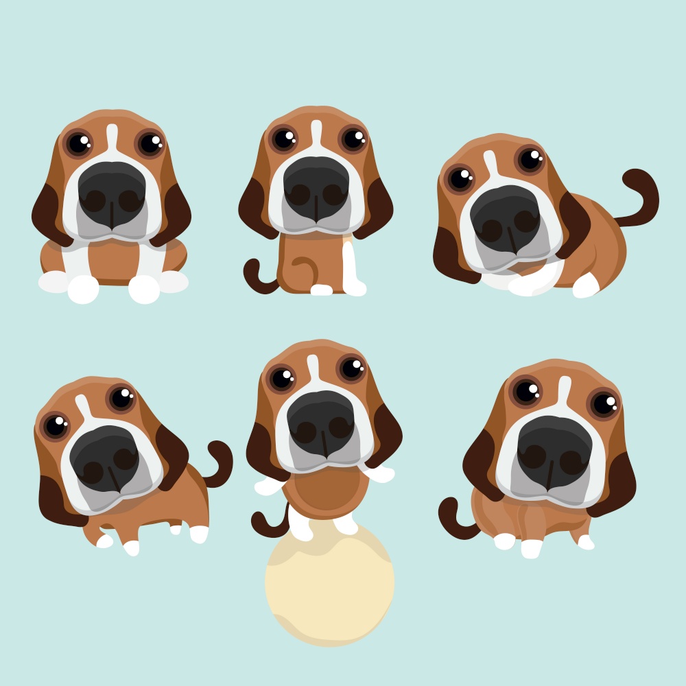 The various operations of cute beagle.