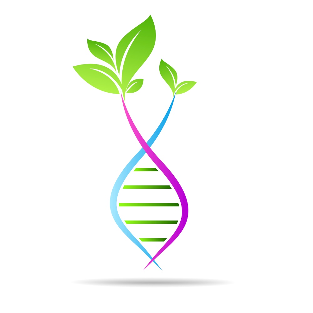 Organic DNA symbol  ecology tree leaves. Green thinking technology innovations, conservation concept