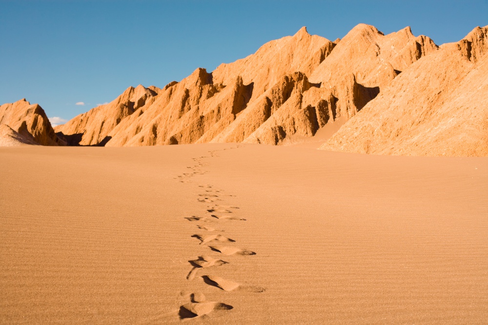 Footprints at Valle de la Muerte (spanish for Death Valley) also known as La Cordillera de la Sal (spanish for salt mountain range), San Pedro de Atacama, Atacama Desert, Antofagasta Region, Chile, South America