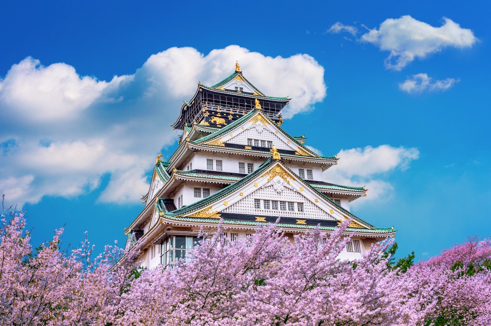 Osaka Castle and Cherry blossom in spring. Sakura seasons in Osaka, Japan.