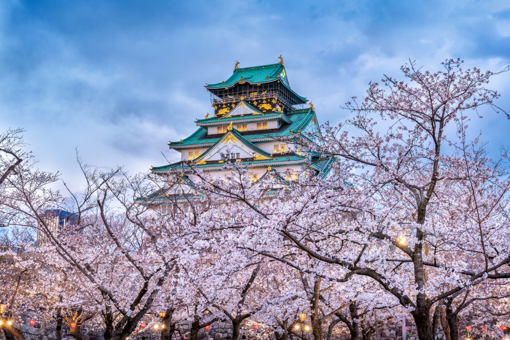 Cherry blossoms and castle in Osaka, Japan.