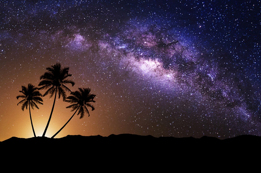Night scene with Milky Way and coconut tree.