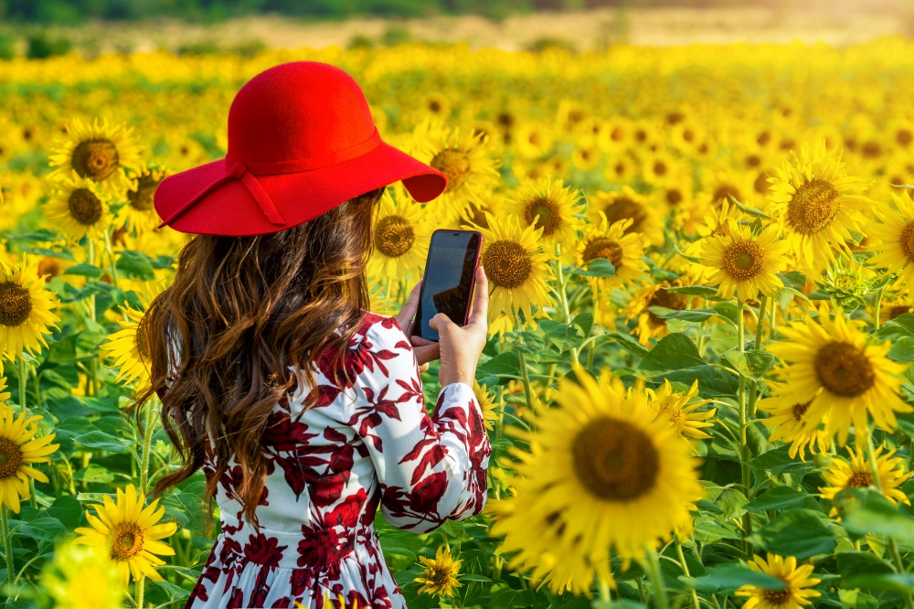 Young woman take a photo in a field of sunflowers.