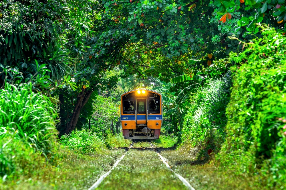 Train through a tunnel of trees in Bangkok, Thailand.