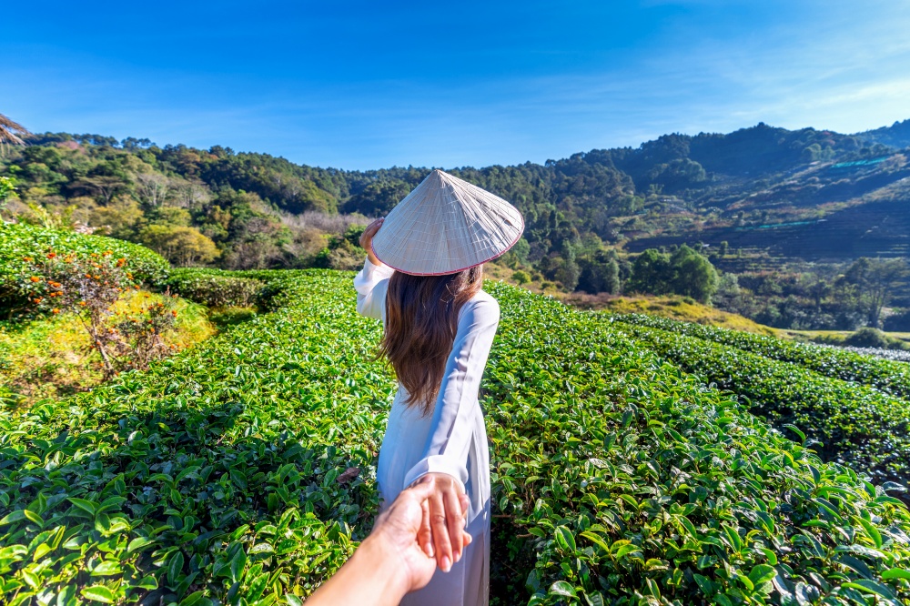 Asian woman wearing Vietnam culture traditional holding man&rsquo;s hand and leading him to green tea field.