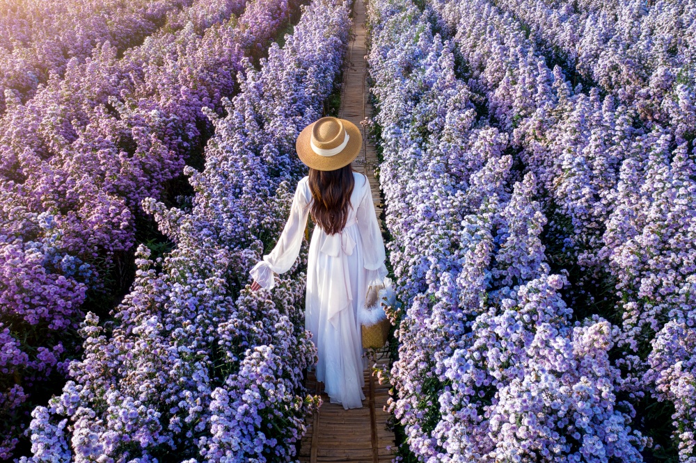 Beautiful girl in white dress walking in Margaret flowers fields.