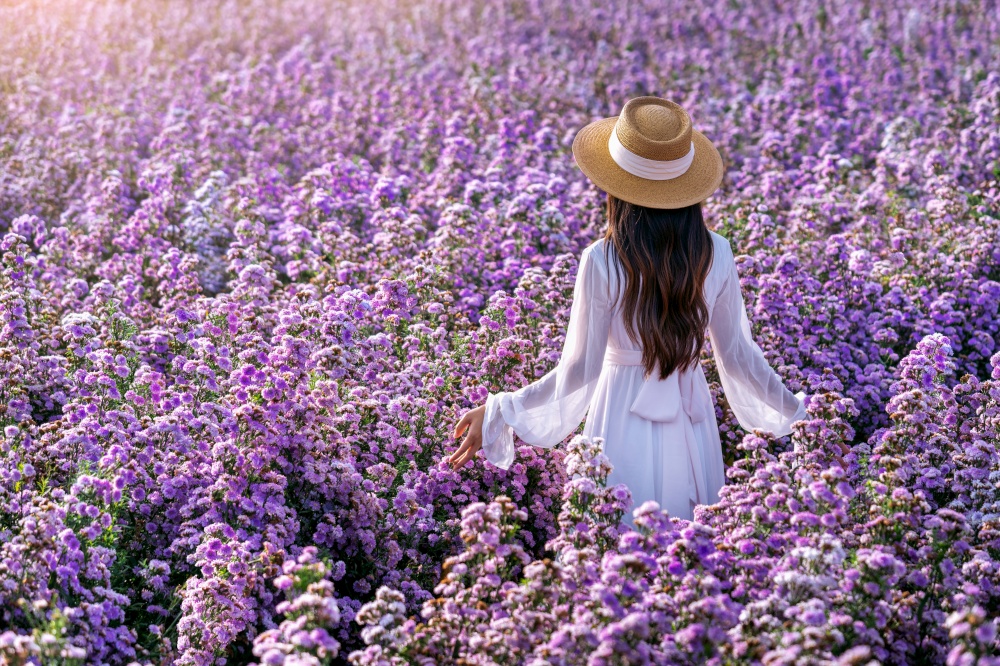 Beautiful girl in white dress enjoying in Margaret flowers fields.