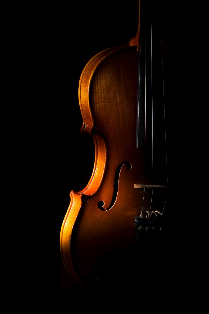 Violin detail on a black background between light or shadows.