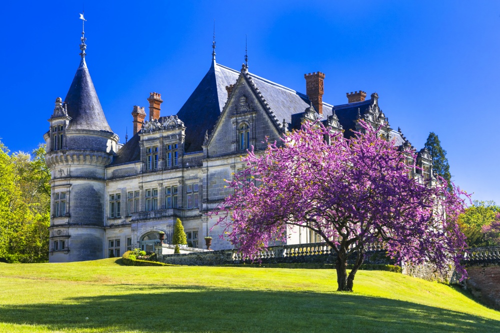 Romantic beautiful castles of Loire valley, Bourdaisiere castle, France. beautiful castles of Loire valley. France