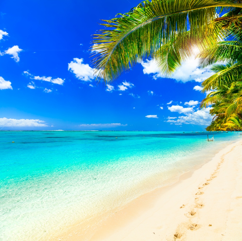 idyllic tropical beach scenery . white sand, turquoise water and plam trees
