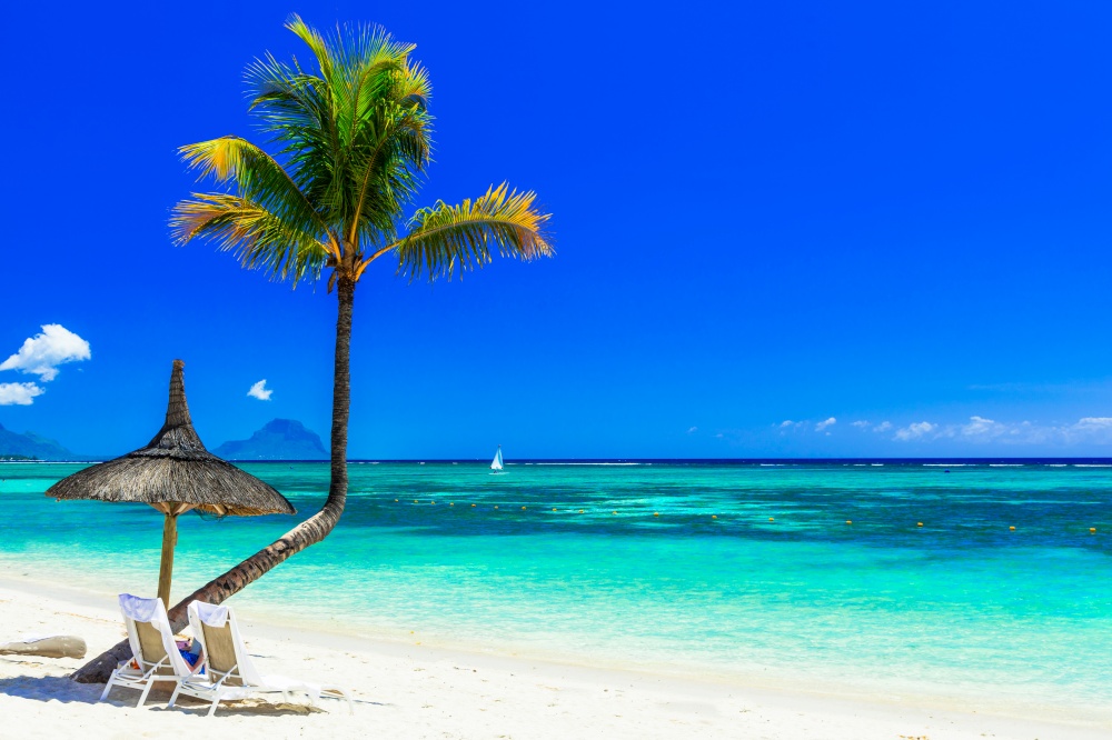 idyllic tropical beach scenery with umbrella, beach chairs and palm tree