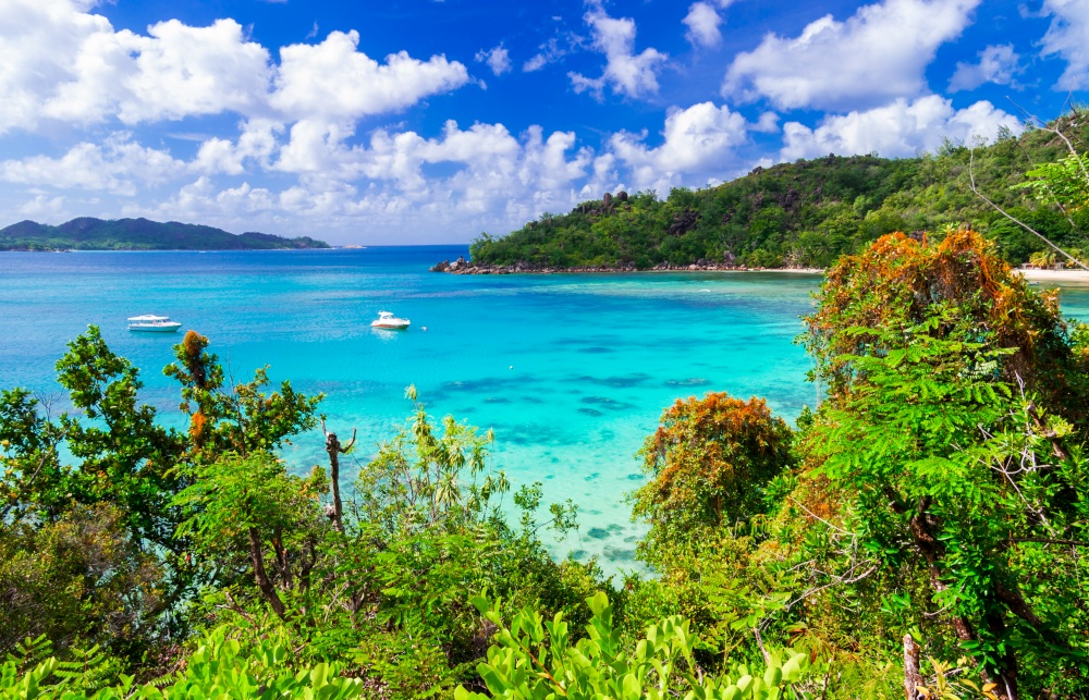 Mahe island, tropical nature scenery. Seychelles