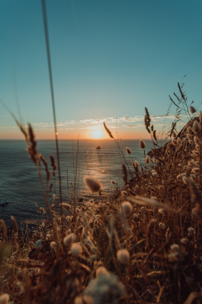 Composed shot of the sunset from the coast in Spain with a lot of plants