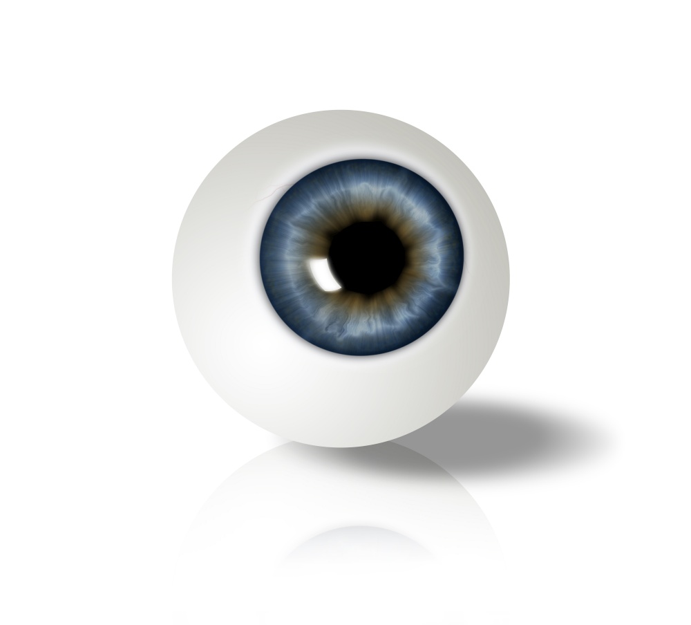 eyeball on white background  - computer generated  for your projects