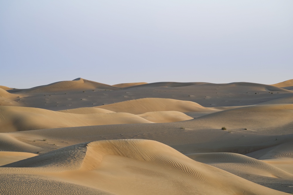 Desert lansdcape with yellow, red sand dunes. Desert landscape for background