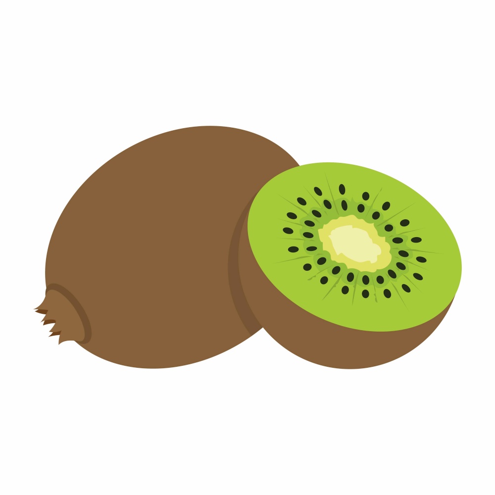 kiwi on white background for your design, slice of fruit. kiwi on white background