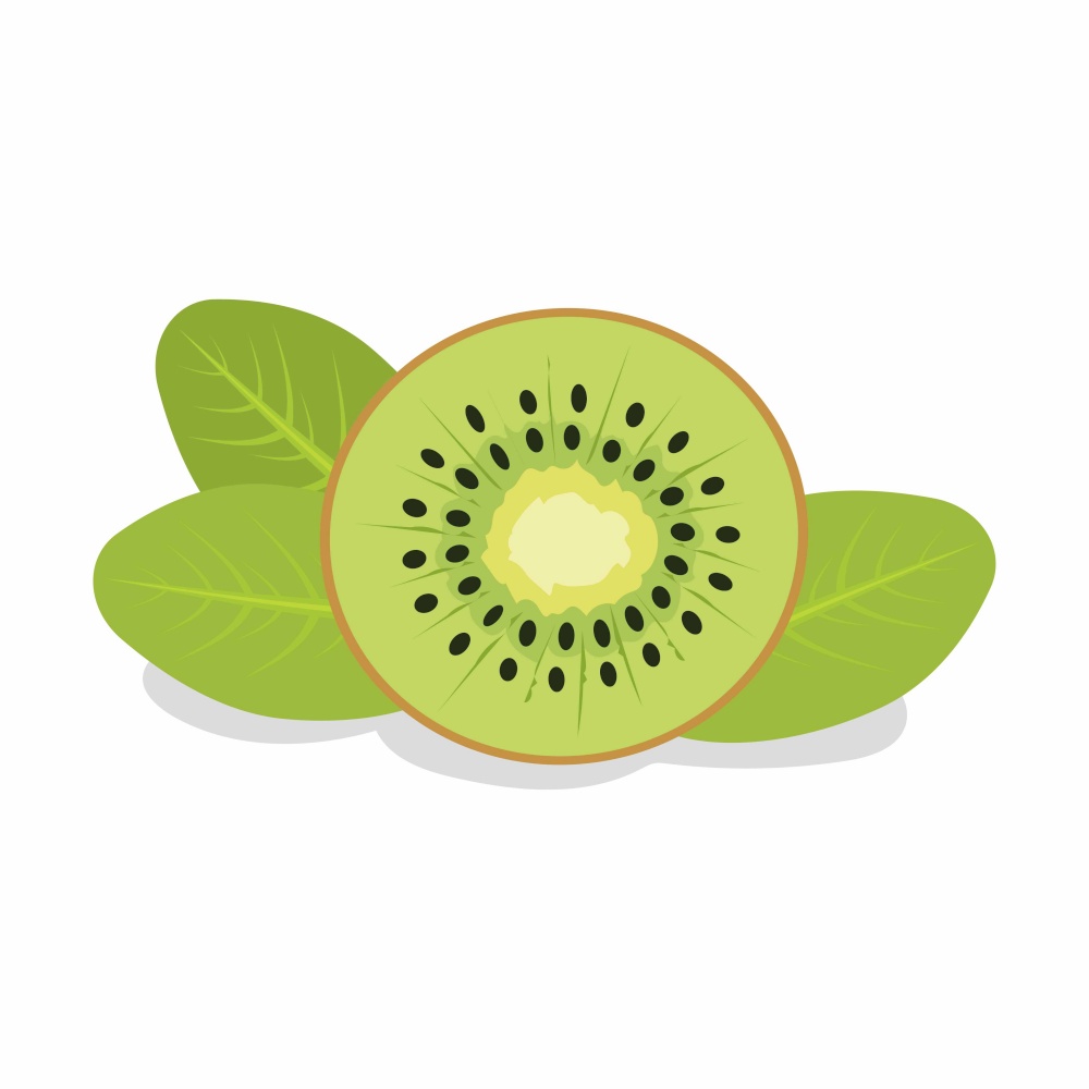 slice of ripe kiwi, delicious exotic fruit, slice of kiwi with leaves. slice of kiwi