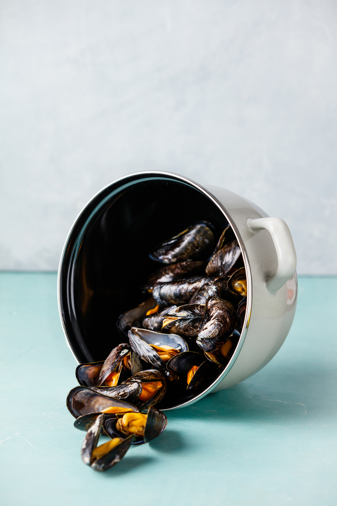 Pot of steamed mussels on blue background. Shellfish seafood