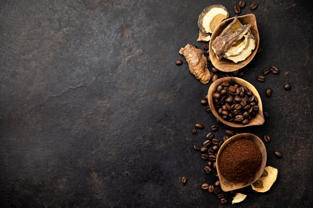 Mushroom Chaga Coffee Superfood Trend-dry and fresh mushrooms and coffee beans on dark background. Copy space, top view. Concept of trend modern food industry.