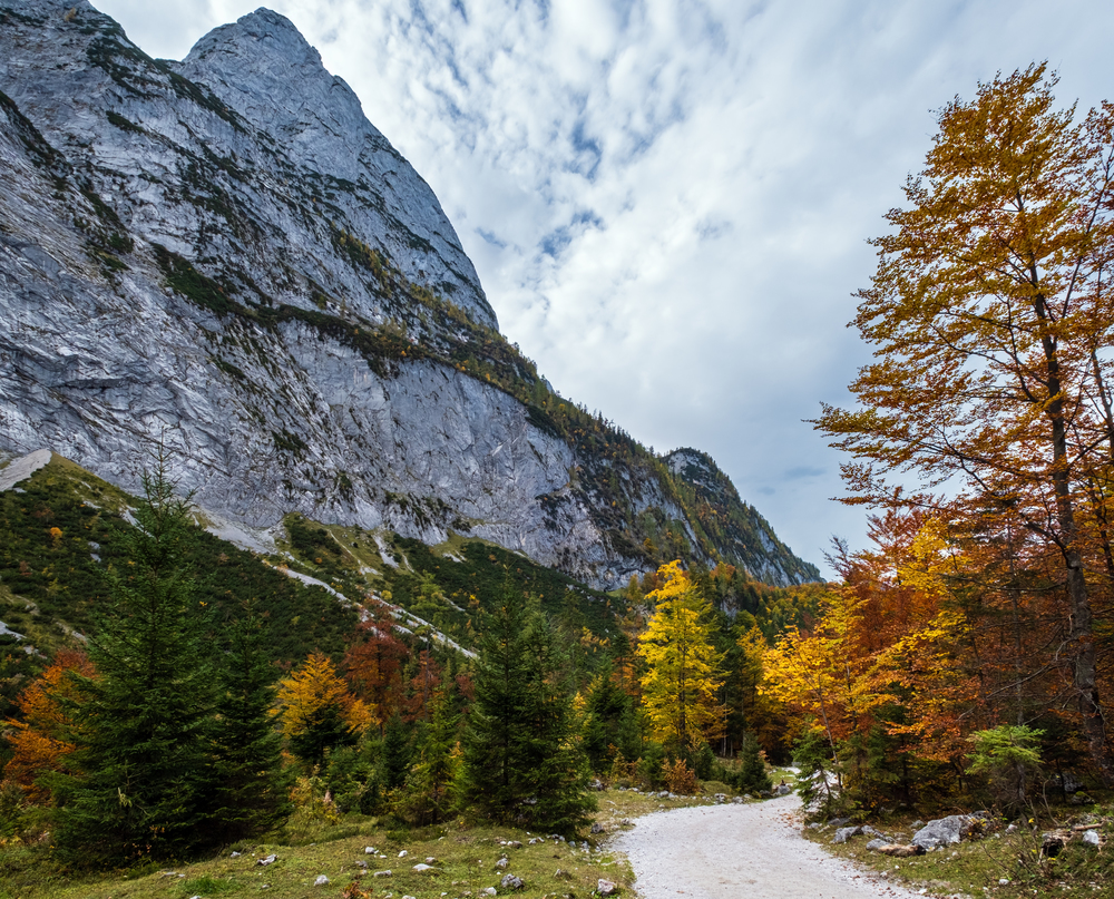 Peaceful autumn Alps mountain forest view. Near Gosauseen or Vorderer Gosausee lake, Upper Austria. Dachstein summit and glacier in far.
