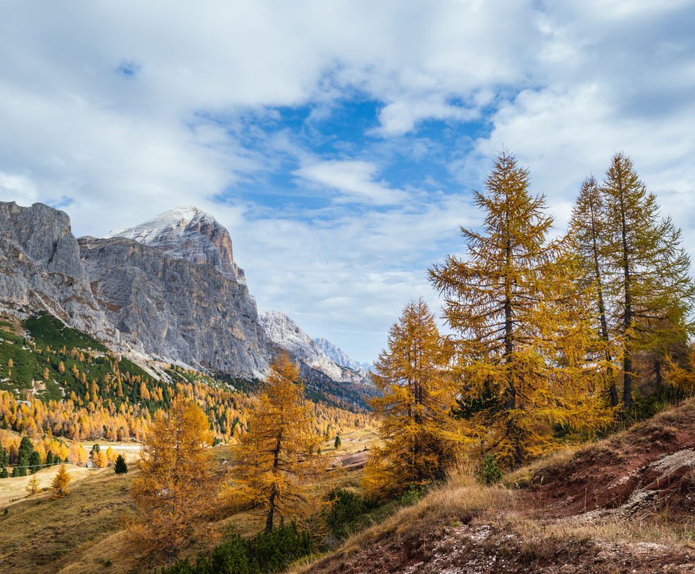 Sunny colorful autumn alpine Dolomites rocky  mountain scene, Sudtirol, Italy. Peaceful view from Falzarego Path. Picturesque traveling, seasonal, nature and countryside beauty concept scene.