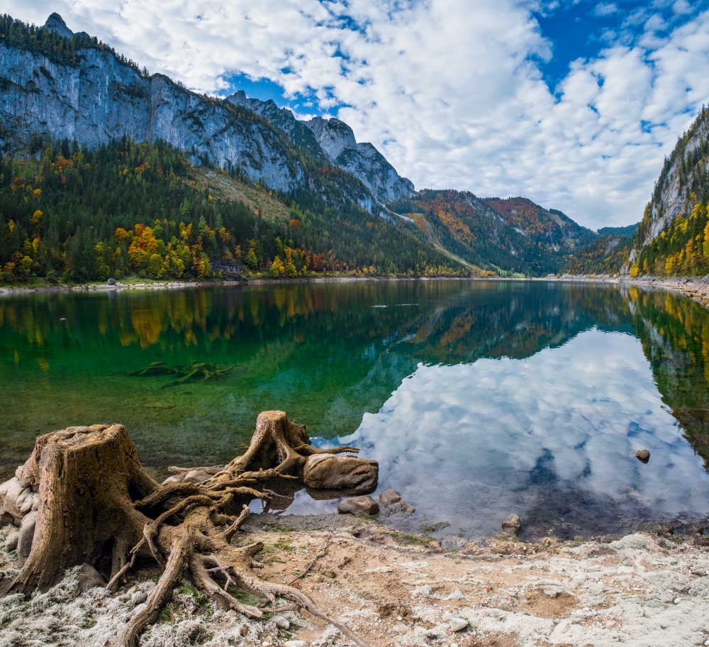 Tree stumps after deforestation near Gosauseen or Vorderer Gosausee lake, Upper Austria. Colorful autumn alpine view of mountain lake with clear transparent water and reflections.