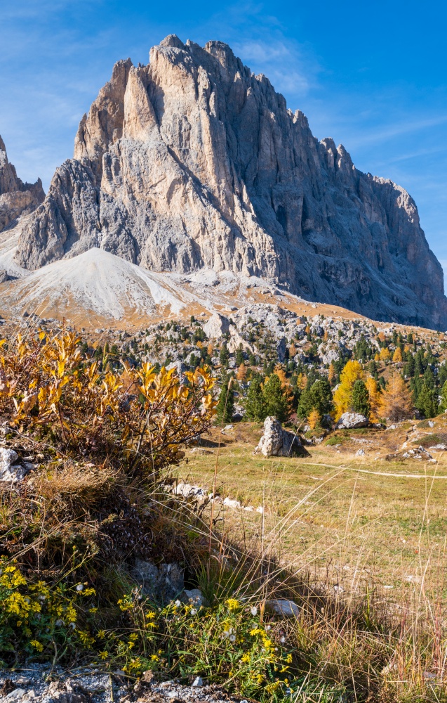 Autumn alpine Dolomites mountain scene, Sudtirol, Italy. Peaceful view near Sella Pass. Picturesque traveling, seasonal, nature and countryside beauty concept scene.