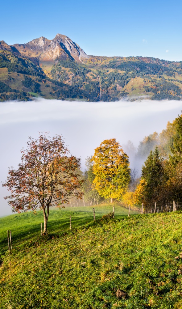 Sunny idyllic autumn alpine scene. Peaceful misty morning Alps mountain view from hiking path from Dorfgastein to Paarseen lakes, Land Salzburg, Austria. Picturesque hiking and seasonal concept scene.